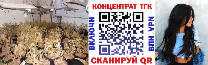 Дистиллят ТГК вейп  omg зеркало  Камень-на-Оби  где найти наркотики 